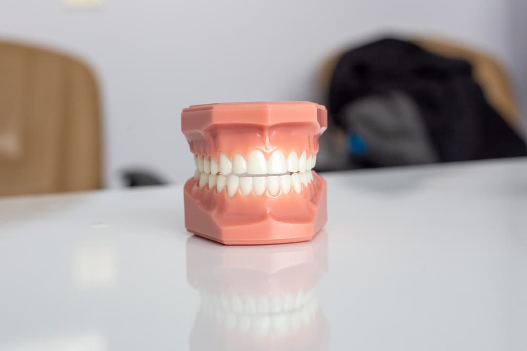Photo Wisdom Teeth in Older Adults: Addressing Extraction Concerns